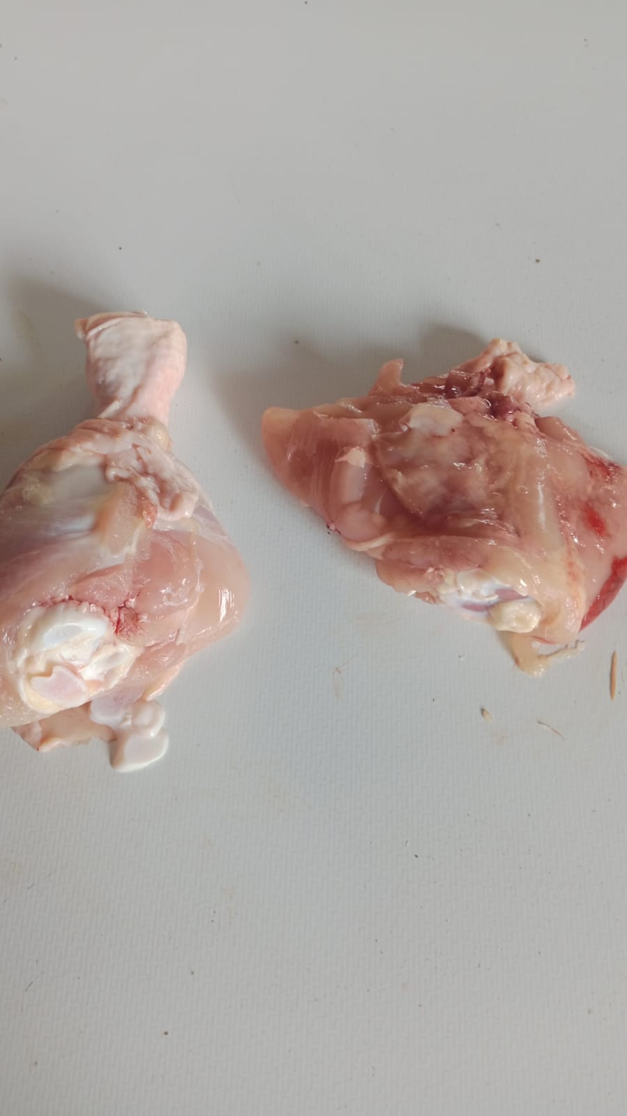 Ayam Segar